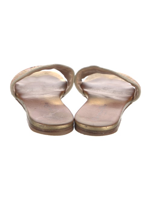 Christian Dior Canvas Printed Slides