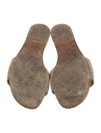 Christian Dior Canvas Printed Slides