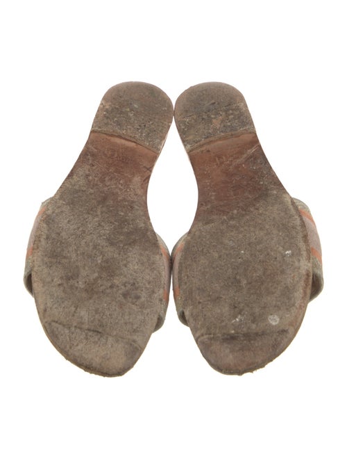 Christian Dior Canvas Printed Slides