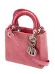 Christian Dior Lizard Lady Dior Mini