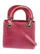 Christian Dior Lizard Lady Dior Mini