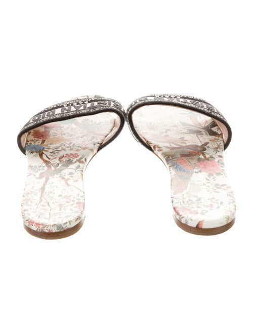 Christian Dior Canvas Printed Slides