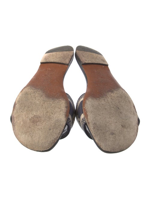 Christian Dior Canvas Printed Slides