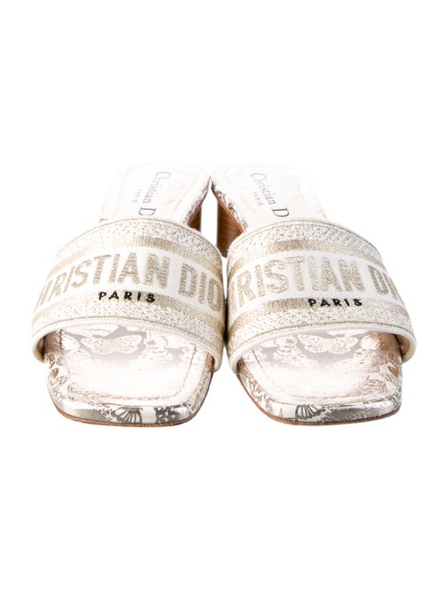 Christian Dior Canvas Printed Slides