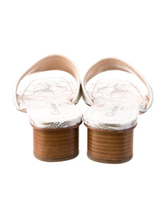 Christian Dior Canvas Printed Slides