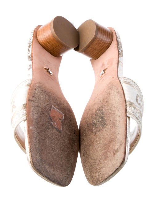 Christian Dior Canvas Printed Slides