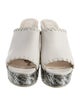 Christian Dior Leather Slides