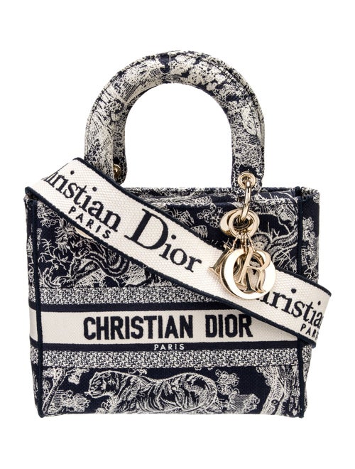 Christian Dior Canvas D-Lite