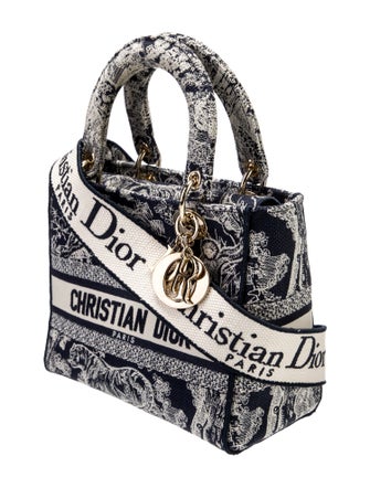 Christian Dior Canvas D-Lite