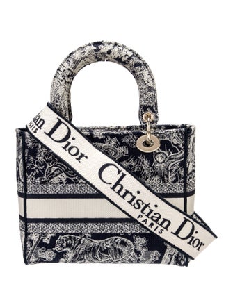 Christian Dior Canvas D-Lite