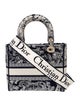 Christian Dior Canvas D-Lite