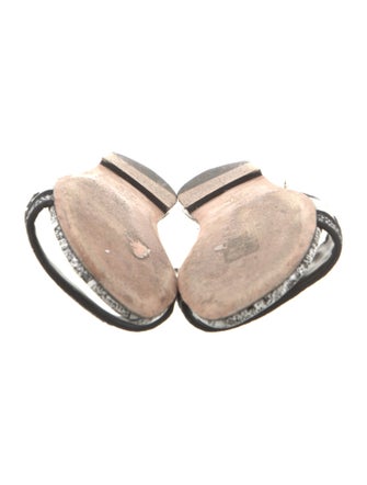 Christian Dior Canvas Printed Slides