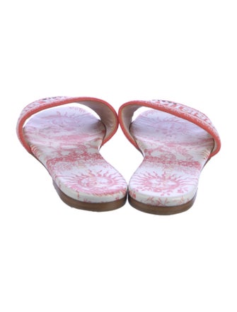 Christian Dior Canvas Printed Slides