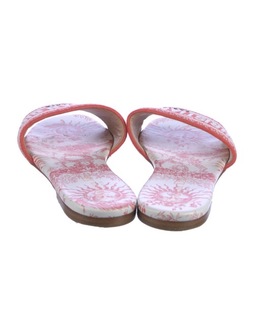 Christian Dior Canvas Printed Slides