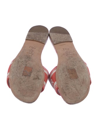 Christian Dior Canvas Printed Slides