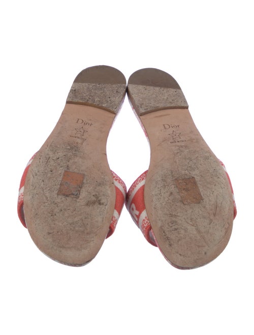 Christian Dior Canvas Printed Slides