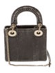 Christian Dior Snakeskin Lady Dior