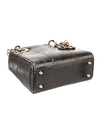 Christian Dior Snakeskin Lady Dior