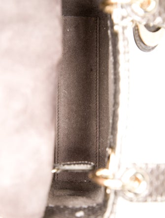 Christian Dior Snakeskin Lady Dior