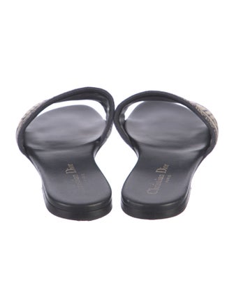 Christian Dior Canvas Printed Slides