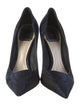 Christian Dior Satin Pumps