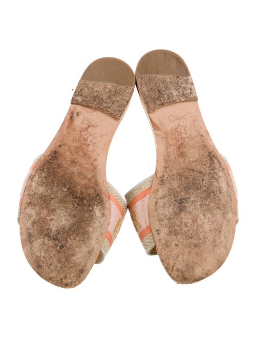 Christian Dior D-Way Printed Slides
