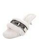 Christian Dior Shearling Printed Slides