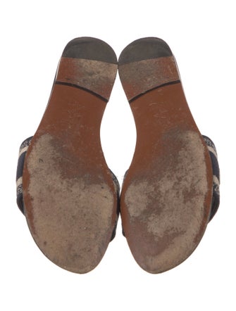 Christian Dior Canvas Printed Slides