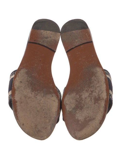 Christian Dior Canvas Printed Slides