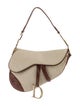Christian Dior Canvas Saddle