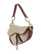 Christian Dior Canvas Saddle