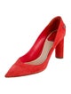 Christian Dior Suede Pumps