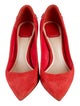 Christian Dior Suede Pumps