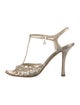 Christian Dior Leather Cutout Accent T-Strap Sandals