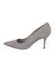Christian Dior Suede Pumps