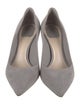 Christian Dior Suede Pumps
