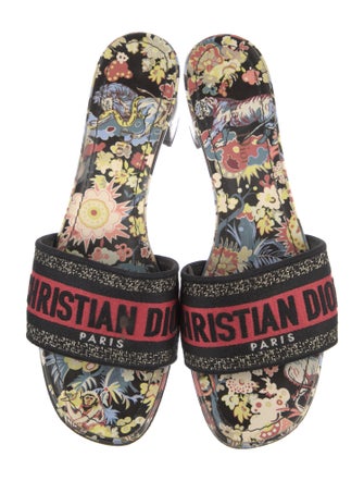 Christian Dior Printed Slides