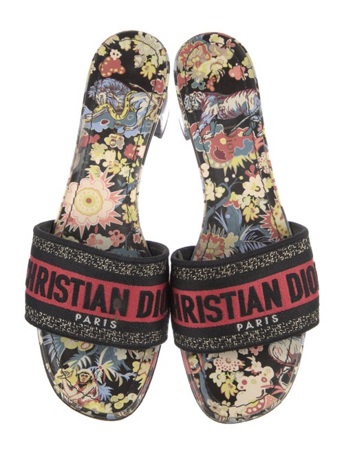 Christian Dior Printed Slides