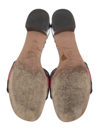 Christian Dior Printed Slides