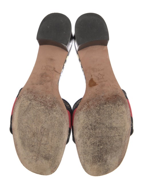 Christian Dior Printed Slides