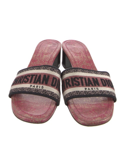 Christian Dior Canvas Printed Slides