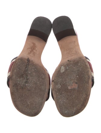 Christian Dior Canvas Printed Slides