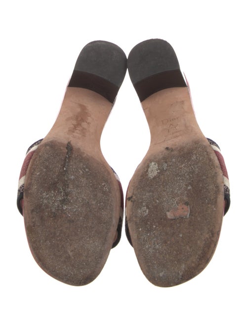 Christian Dior Canvas Printed Slides