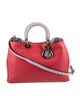 Christian Dior Leather Diorissimo Large