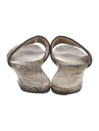 Christian Dior Canvas Printed Slides