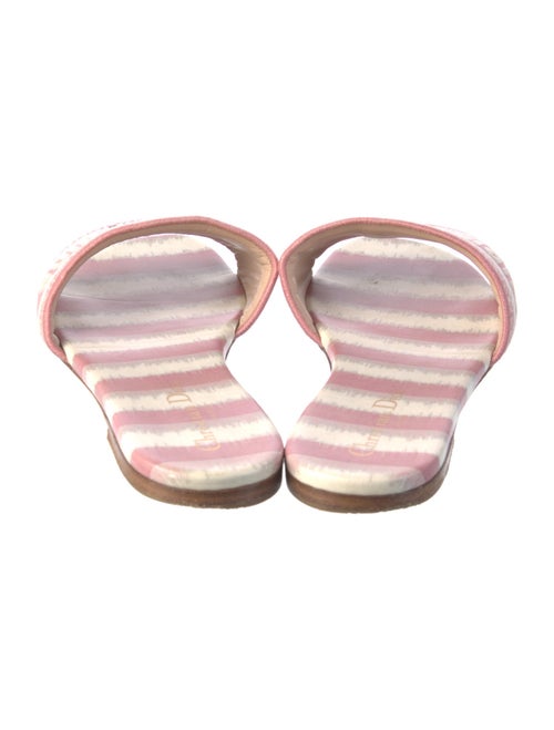 Christian Dior Printed Embroidered Accent Slides