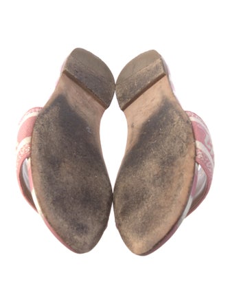 Christian Dior Printed Embroidered Accent Slides