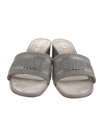 Christian Dior Canvas Printed Slides