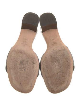 Christian Dior Canvas Printed Slides