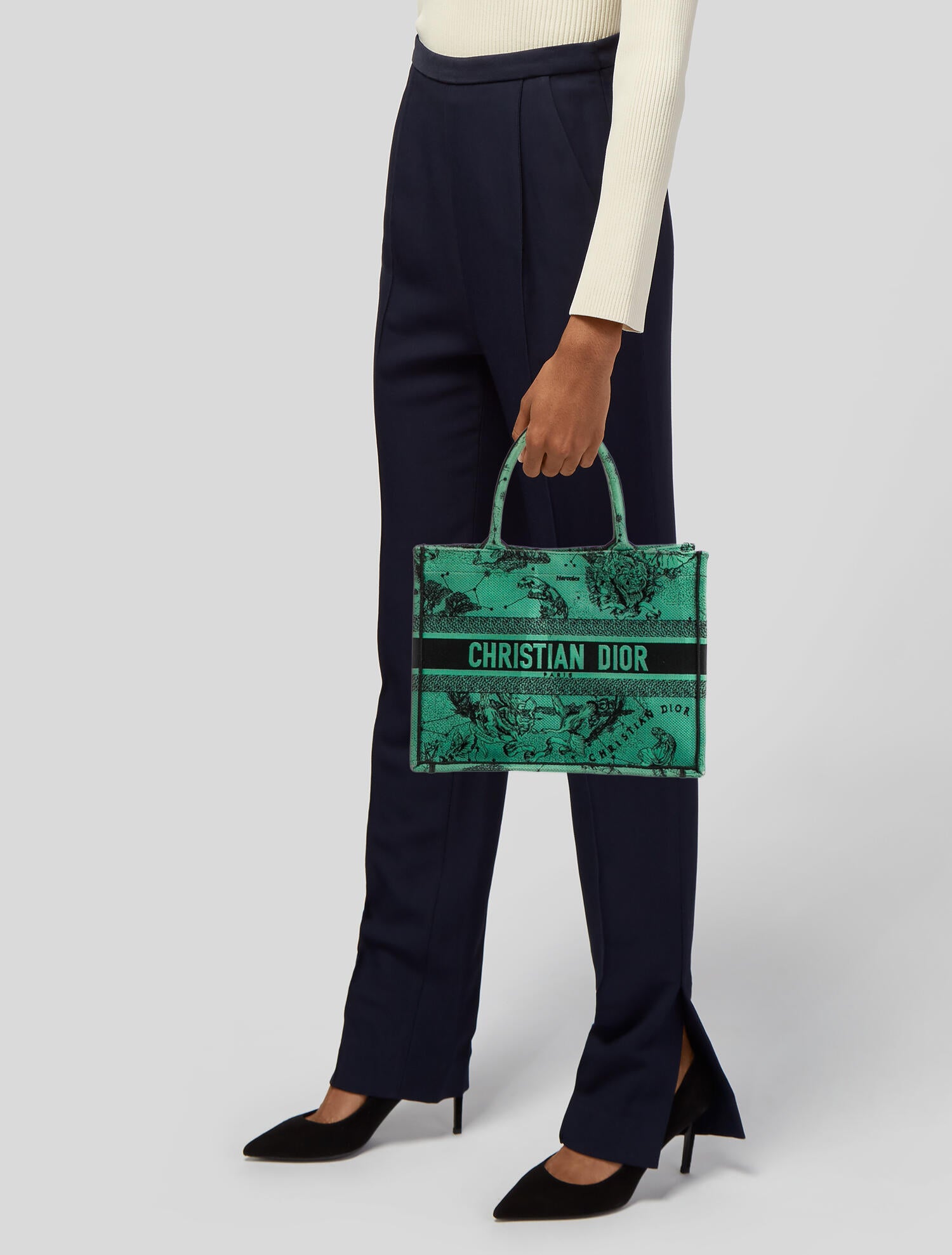 Christian Dior Toile de Jouy Zodiac Book Medium